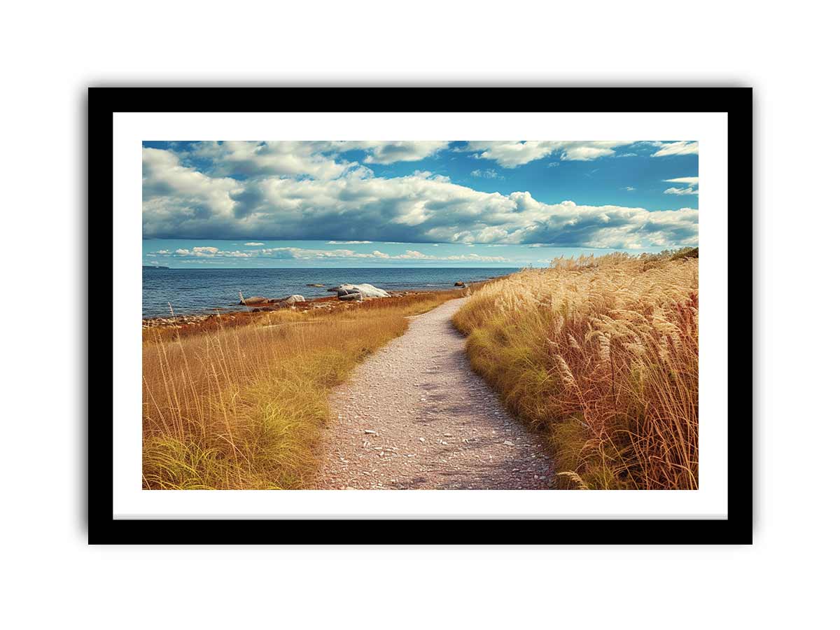 Beach Path Framed Print