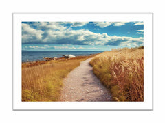 Beach Path Framed Print