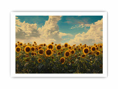 Summar Sunflower Framed Print