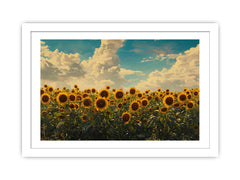 Summar Sunflower Framed Print