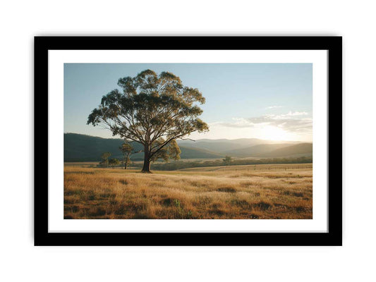 Peace Framed Print